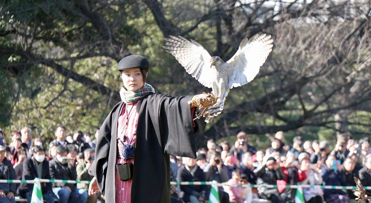 諏訪流放鷹術保存会:オオタカを拳に呼ぶ堀内鷹匠補